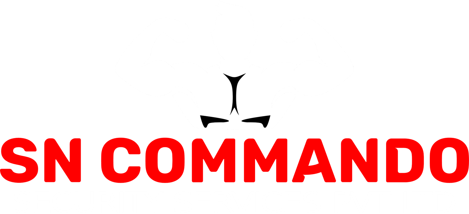 footer logo